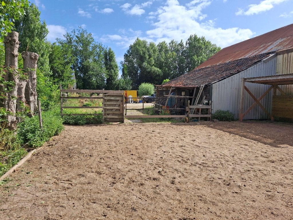 24/7 buitenpaddock op stal nabij Aalsmeer, Dieren en Toebehoren, Stalling en Weidegang, Stalling, 2 of 3 paarden of pony's