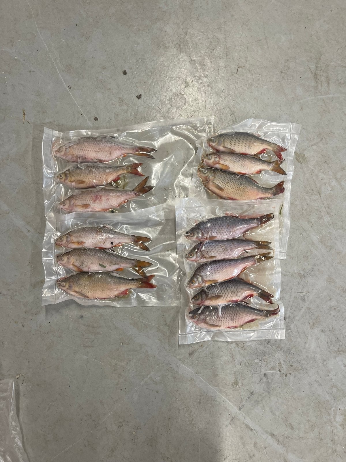 Doodaas in verschillende maten - 20cm zakjes, Ophalen, Nieuw, Overige typen
