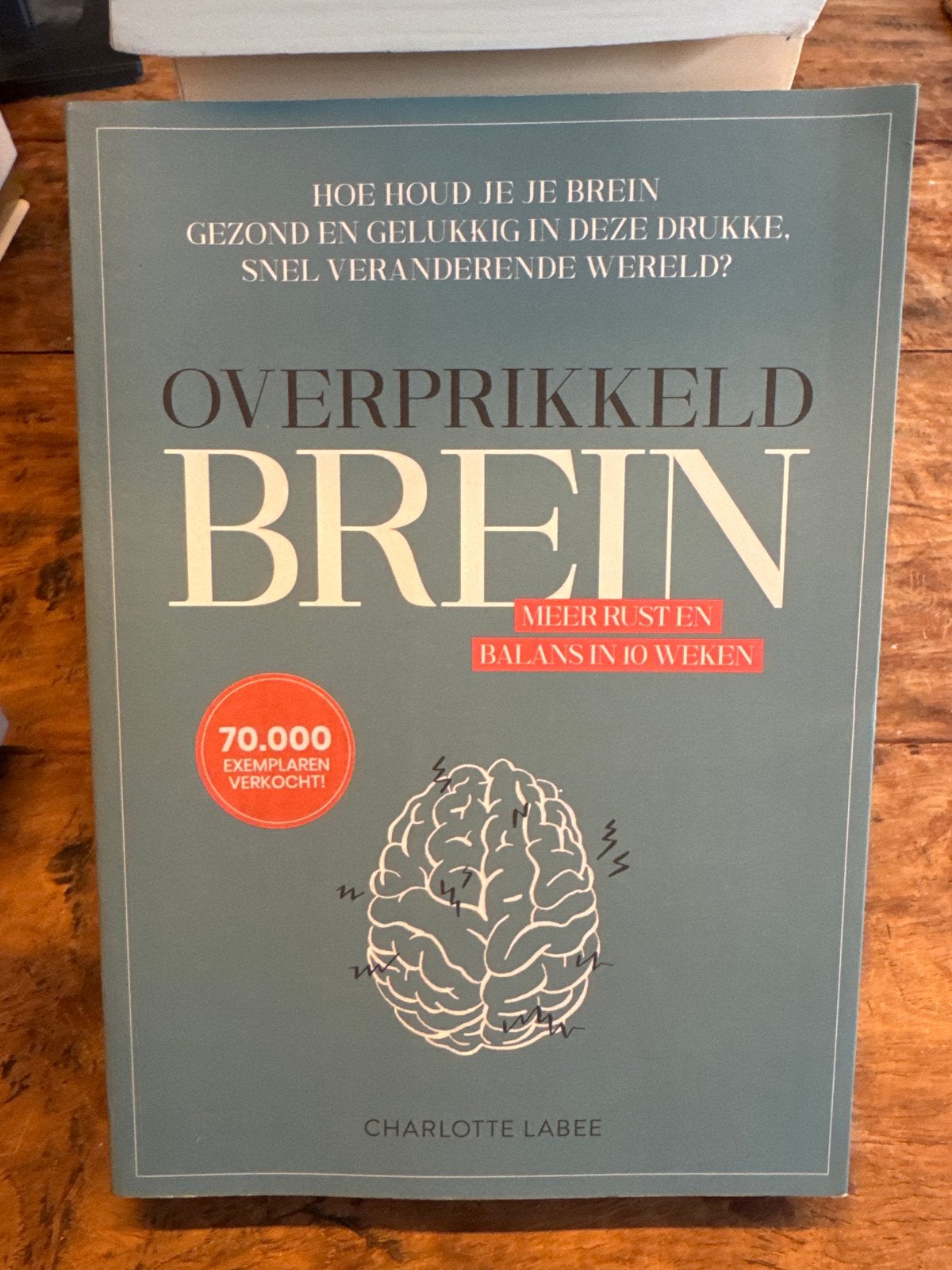 Overprikkeld Brein: Meer Rust en Balans in 10 Weken, Boeken, Ophalen of Verzenden, Zo goed als nieuw, Gezondheid en Conditie