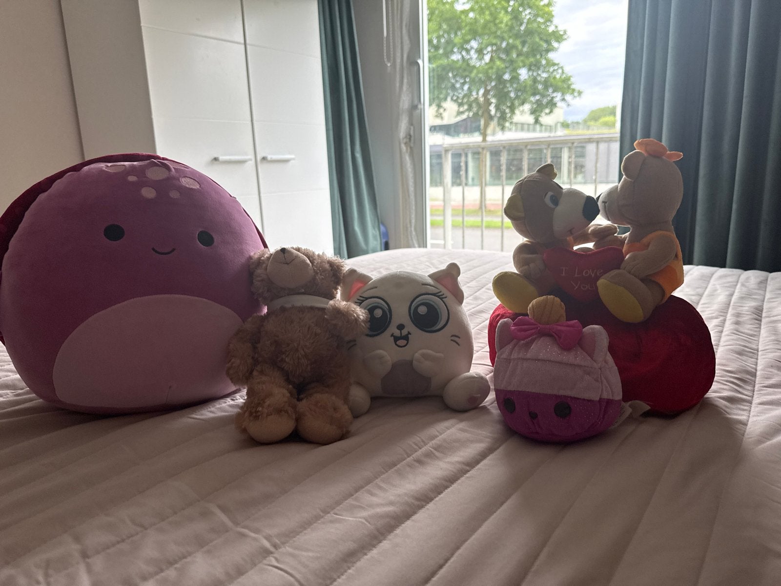 Te koop Leuke knuffels:, kat, beren en meer!, Kinderen en Baby's, Speelgoed | Knuffels en Pluche, Paars, Overige karakters, Ophalen of Verzenden