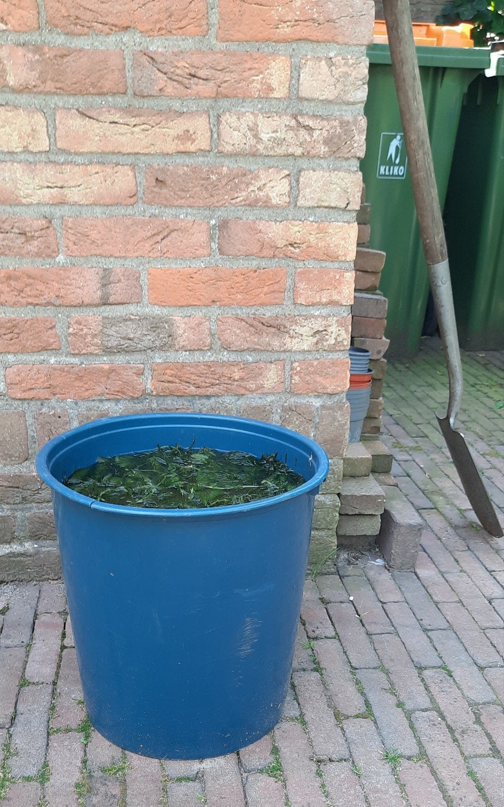 Grote emmer vijverplanten., Ophalen, Gebruikt