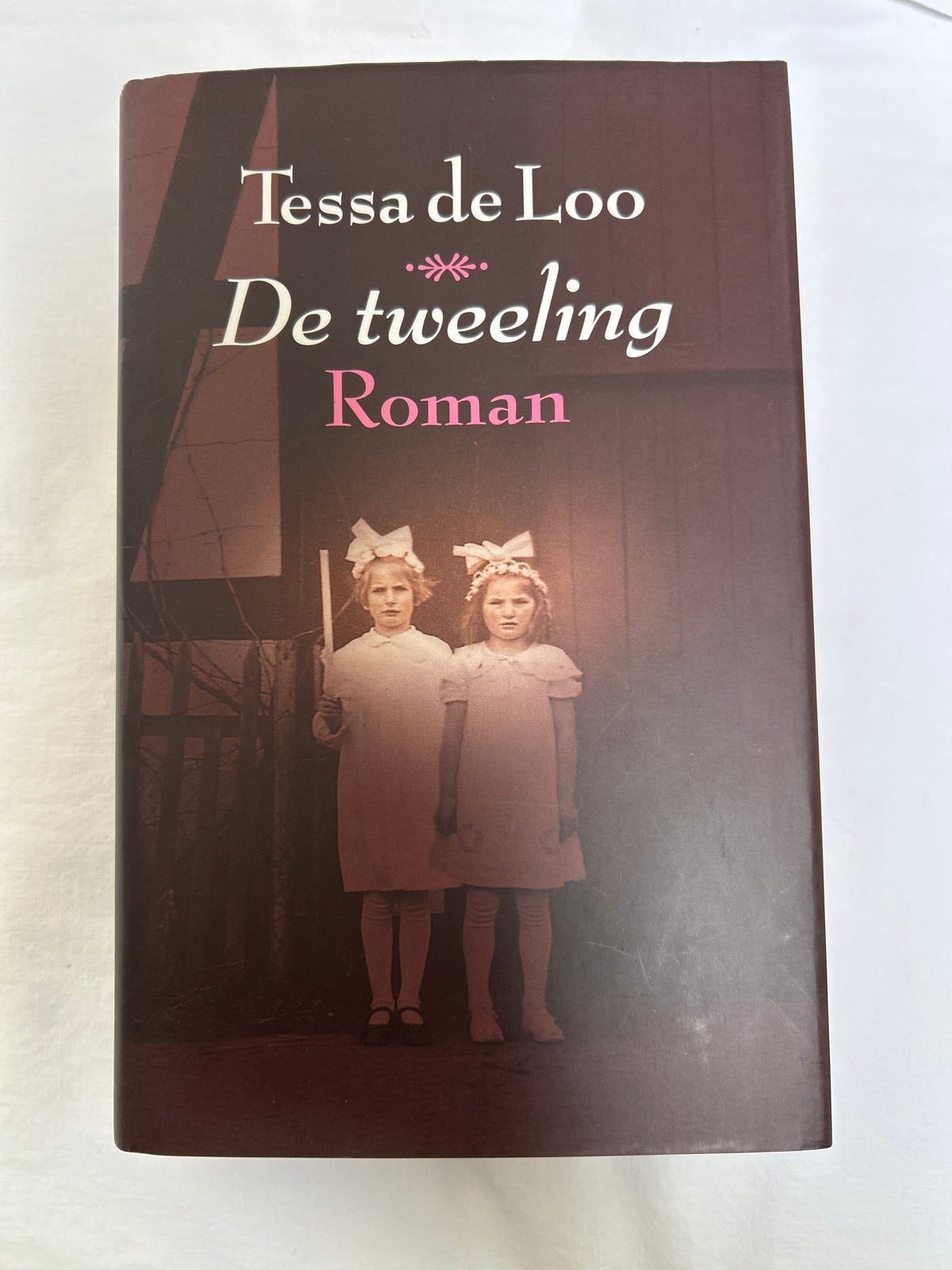 De Tweeling - Tessa de Loo (Roman), Ophalen of Verzenden, Gelezen, Nederland
