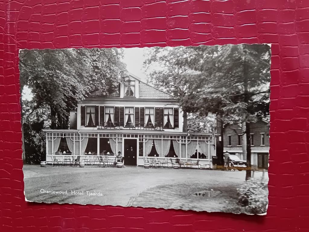 Ansichtkaart Oranjewoud, Verzamelen, Ophalen of Verzenden