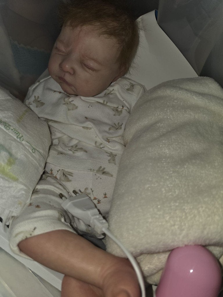 Diverse Reborns eur 100 excl verzendkosten, Verzenden, Zo goed als nieuw, Pop, Levensecht of Reborn