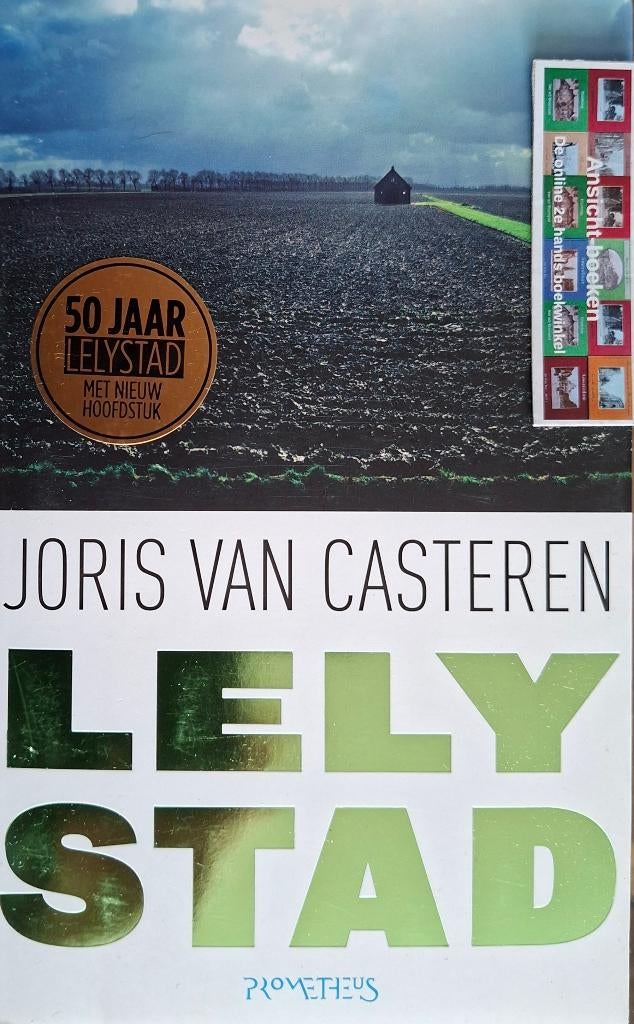 Joris van Casteren: Lelystad, 10e uitgebreide druk, 2017, Boeken, 20e eeuw of later, Joris van Casteren, Ophalen of Verzenden