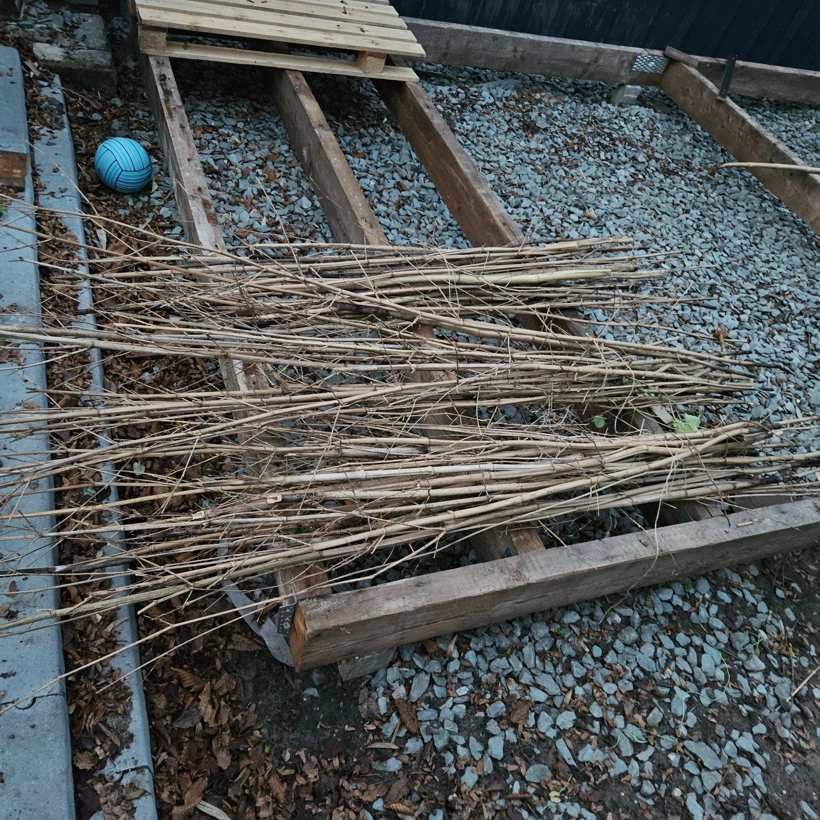 bamboe stokken ongeveer 150cm, Ophalen
