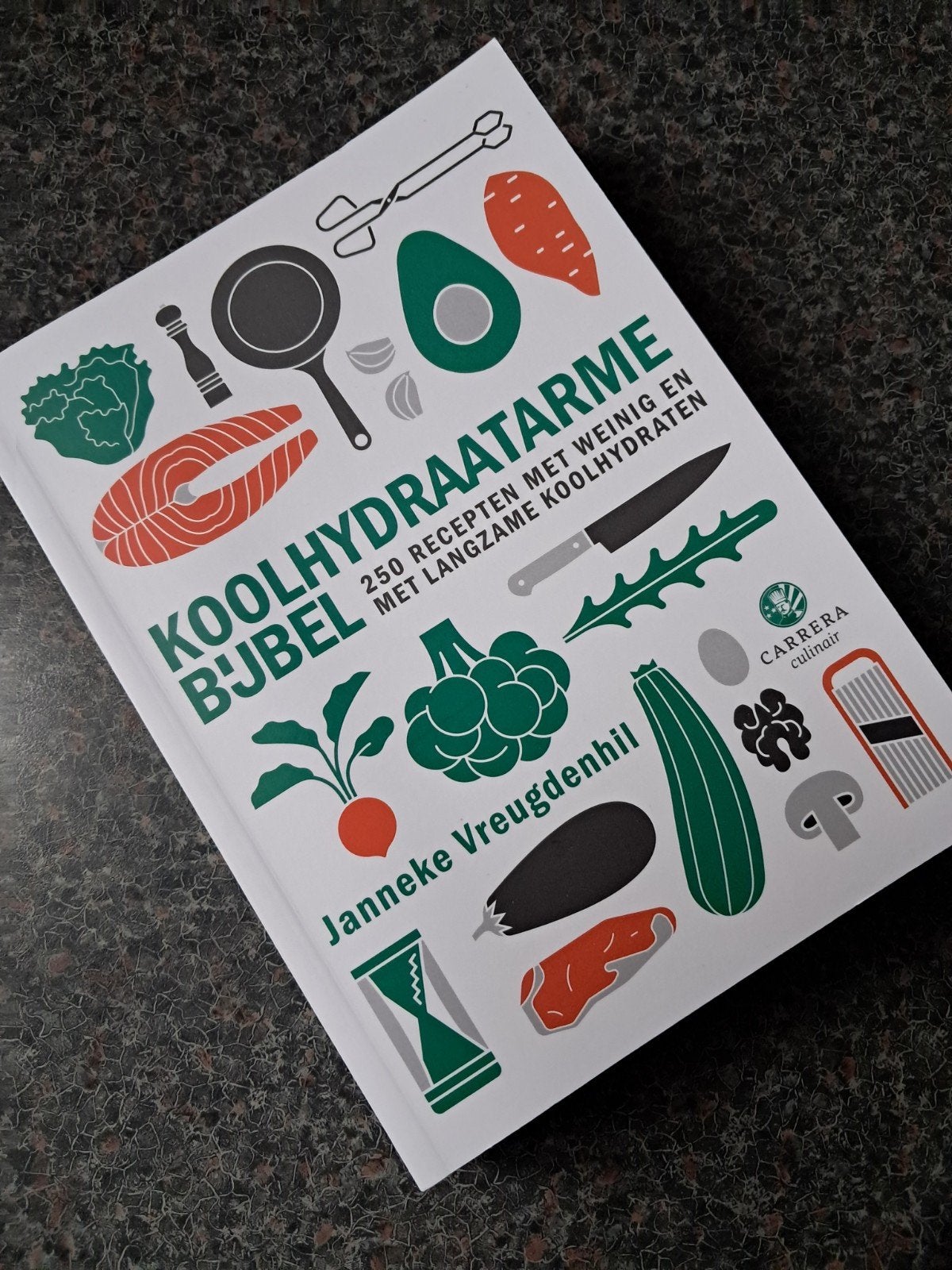 koolhydraatarme bijbel nieuw, Boeken, Ophalen of Verzenden, Zo goed als nieuw, Janneke Vreugdenhil