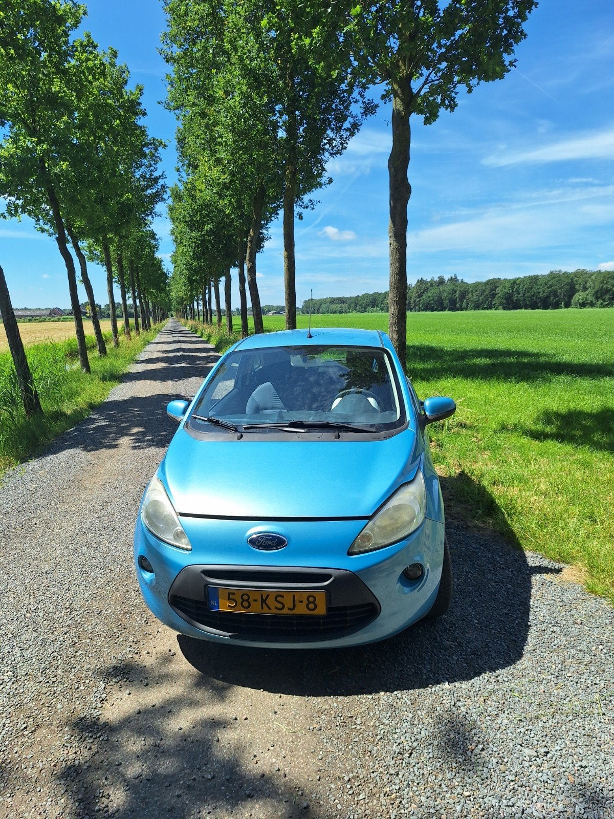 Ford Ka 1.2 51KW 2010 Blauw, Voorwielaandrijving, Stof, 1242 cc, 4 cilinders