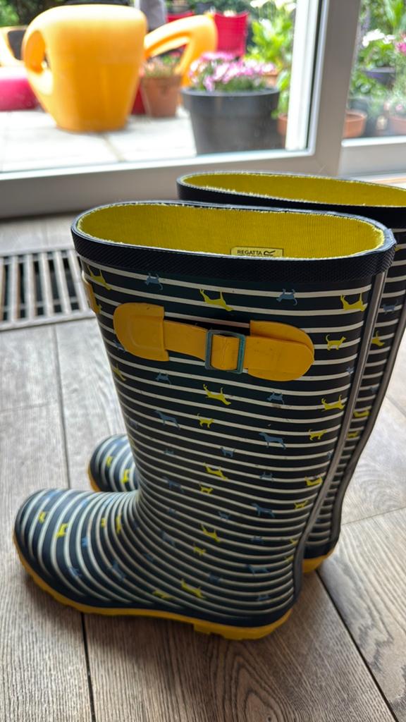 Regen Laarzen, leuk design, Kinderen en Baby's, Kinderkleding | Schoenen en Sokken, Gebruikt, Meisje, Ophalen of Verzenden, Laarzen