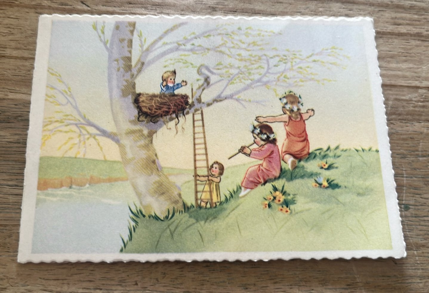 Lier(B) 1952:::Frieda, Ophalen of Verzenden