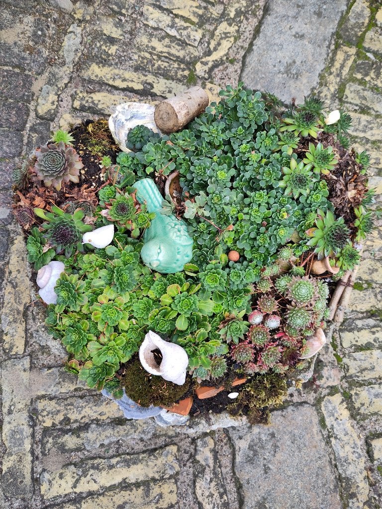 plantenbak, Tuin en Terras, Bloembakken en Plantenbakken, Ophalen, Kunststof, Gebruikt, Minder dan 30 cm