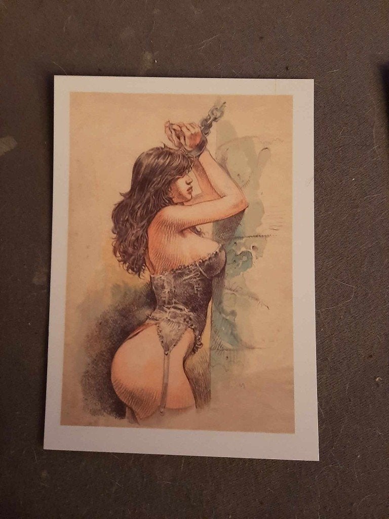 7x druuna prenten 20 euro weg is weg, Boeken, Meerdere stripboeken, Ophalen of Verzenden, Nieuw