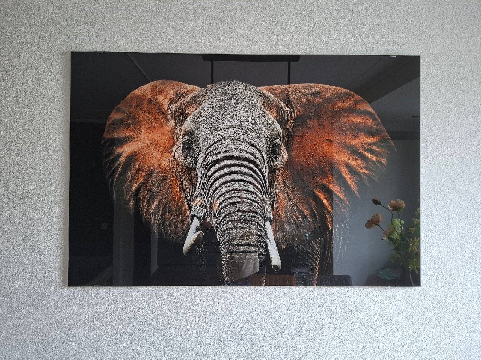 glazen Schilderij van een Olifant, Huis en Inrichting, Ophalen, Zo goed als nieuw, Schilderij, 100 tot 125 cm