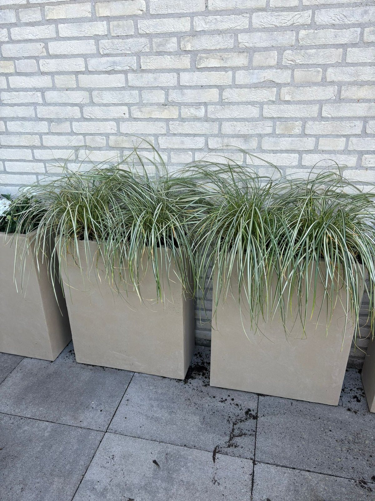 Plantenbakken dividers, Ophalen, Rond, Kunststof