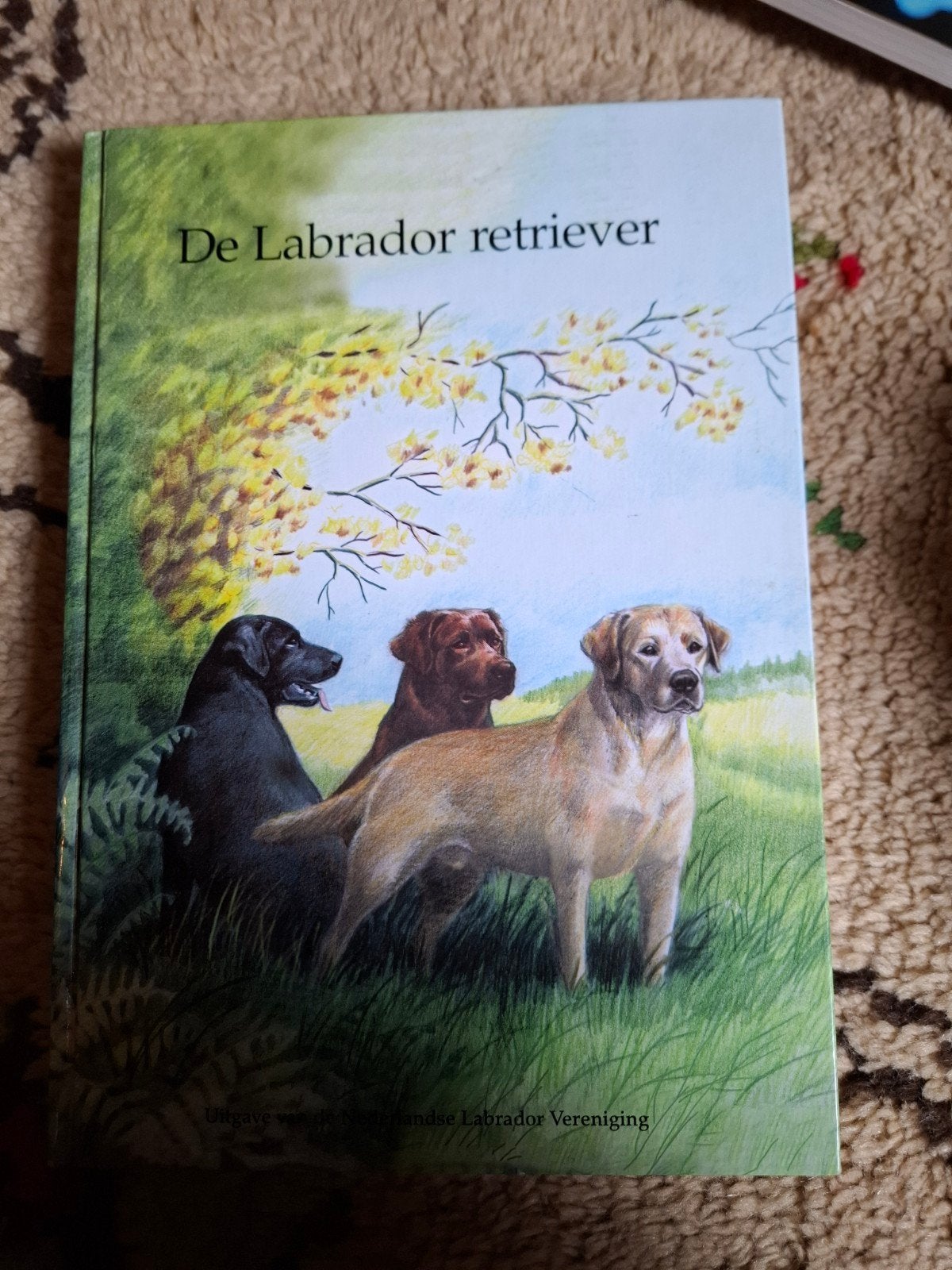 De Labrador Retriever - Boek over hondenras, Ophalen of Verzenden, Gelezen, Honden, Nederlandse Labrador Vereniging