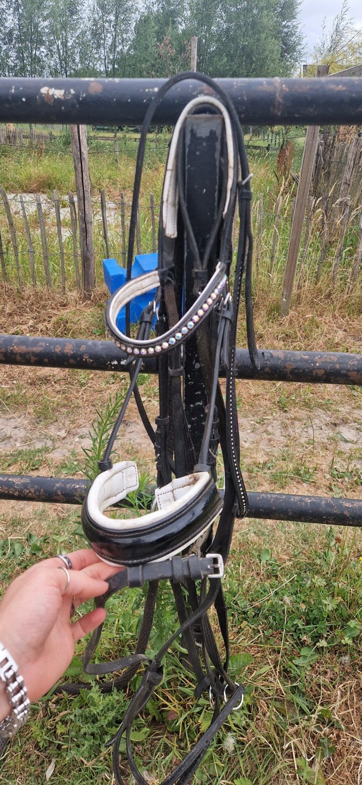heel veel paardenspullen, Ophalen of Verzenden