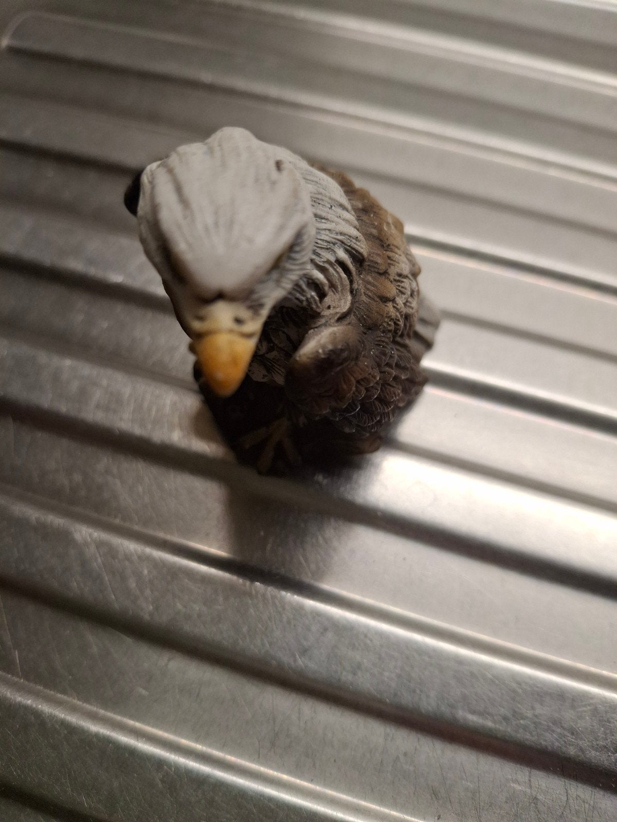 roofvogel, Ophalen of Verzenden