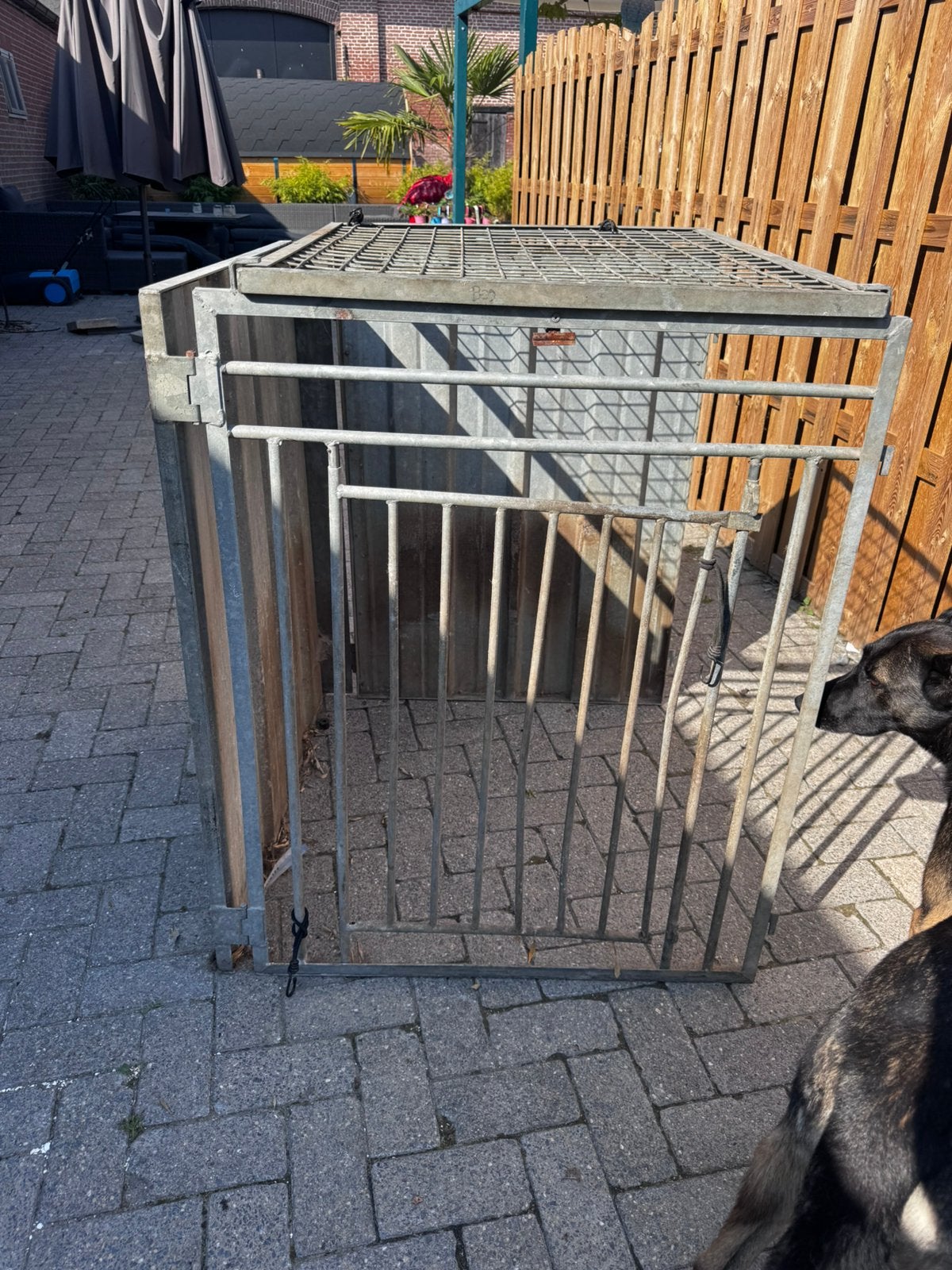 Ruime kennel/bench, Dieren en Toebehoren, Ophalen, Gebruikt
