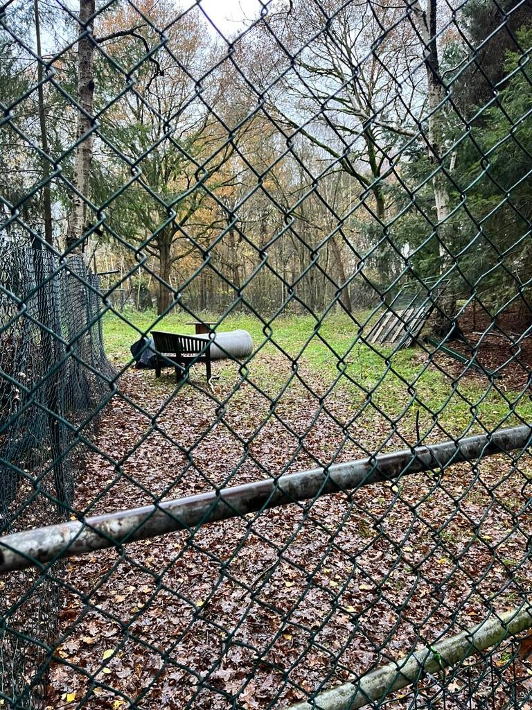 Te huur Hondenuitlaatveld omheind, Dieren en Toebehoren, Stalling en Weidegang, Weidegang