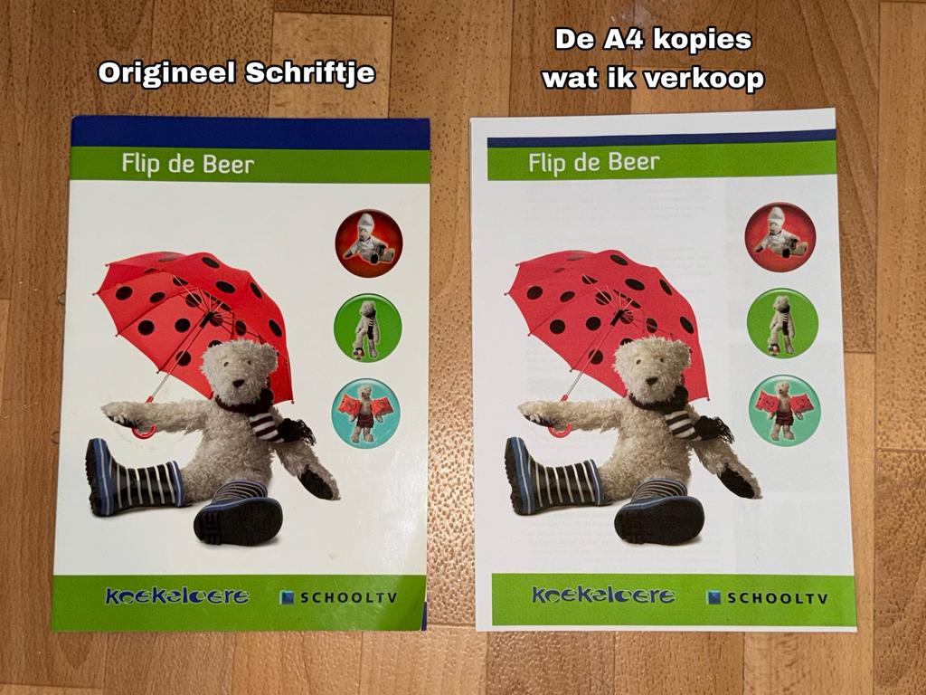 Flip De Beer A4 kopie van SchoolTV schriftje, Fictie algemeen, Verzenden, Jongen of Meisje, Nieuw