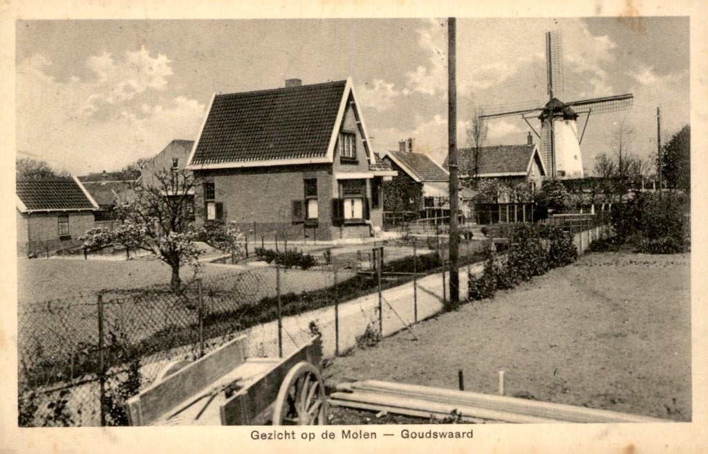 Goudswaard Gezicht op de Molen # 542, Verzenden, Voor 1920, Gelopen, Zuid-Holland