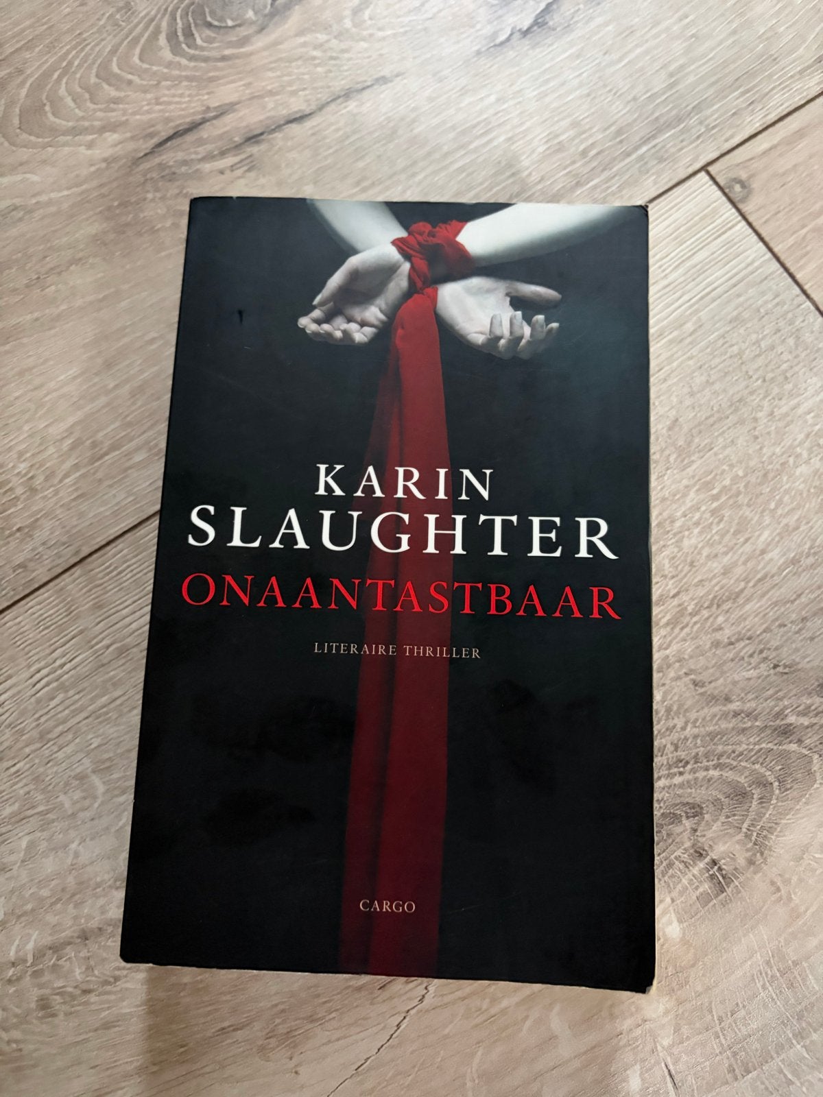 Karin Slaughter - Onaantastbaar (Zo goed als nieuw), Boeken, Verzenden, Zo goed als nieuw