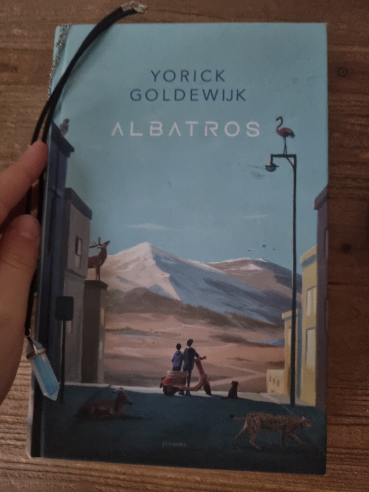 een leuk boek voor kinderen, Boeken, Ophalen, Zo goed als nieuw