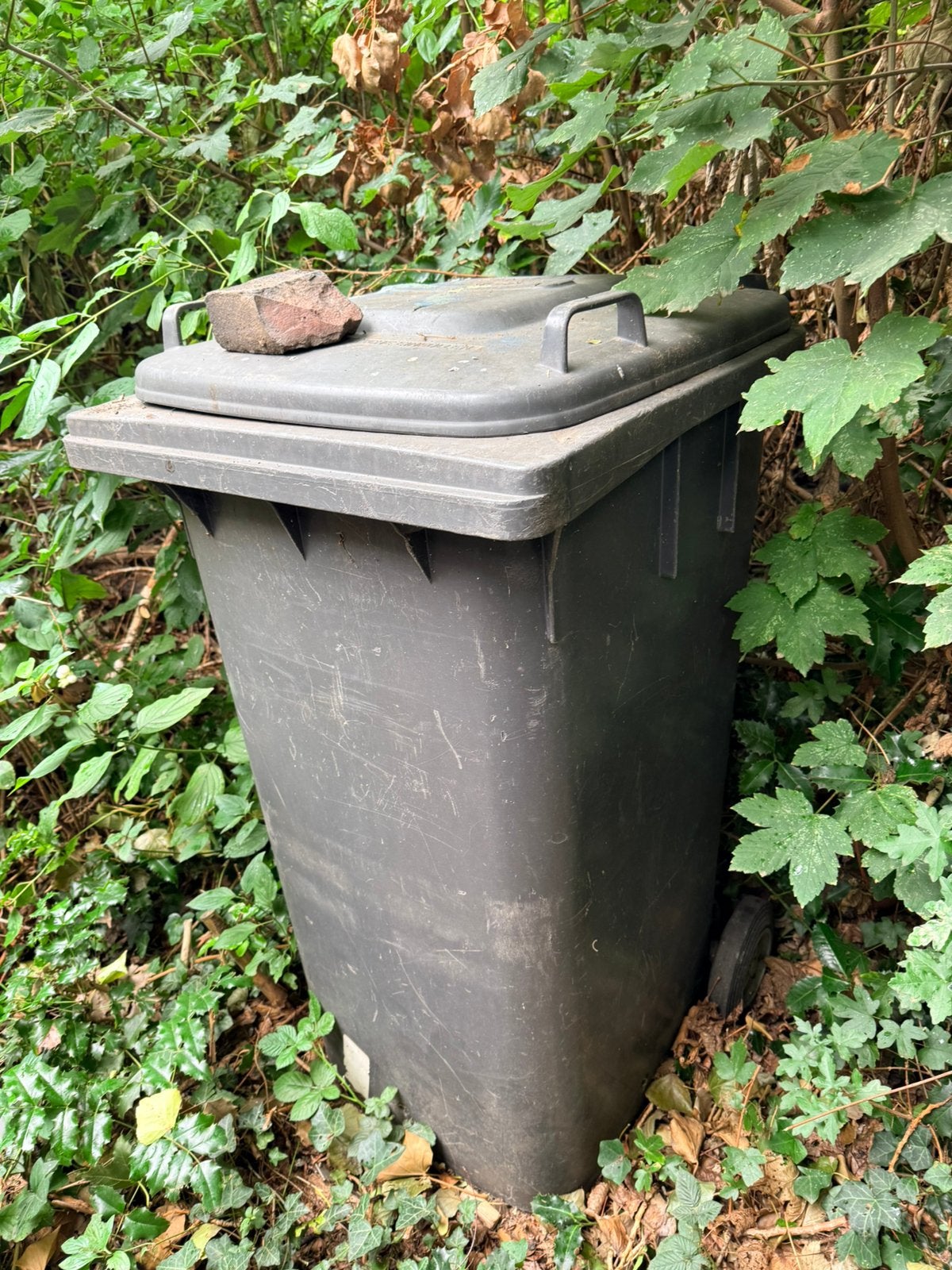 Container, Ophalen, Kunststof, Gebruikt, 100 cm of meer
