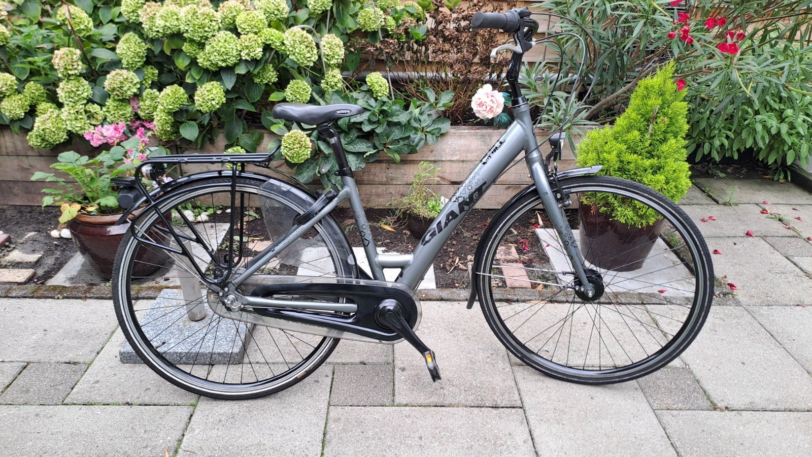 Mooie GIANT Damesfiets, Fietsen en Brommers, Versnellingen, Zo goed als nieuw, Minder dan 47 cm, Giant