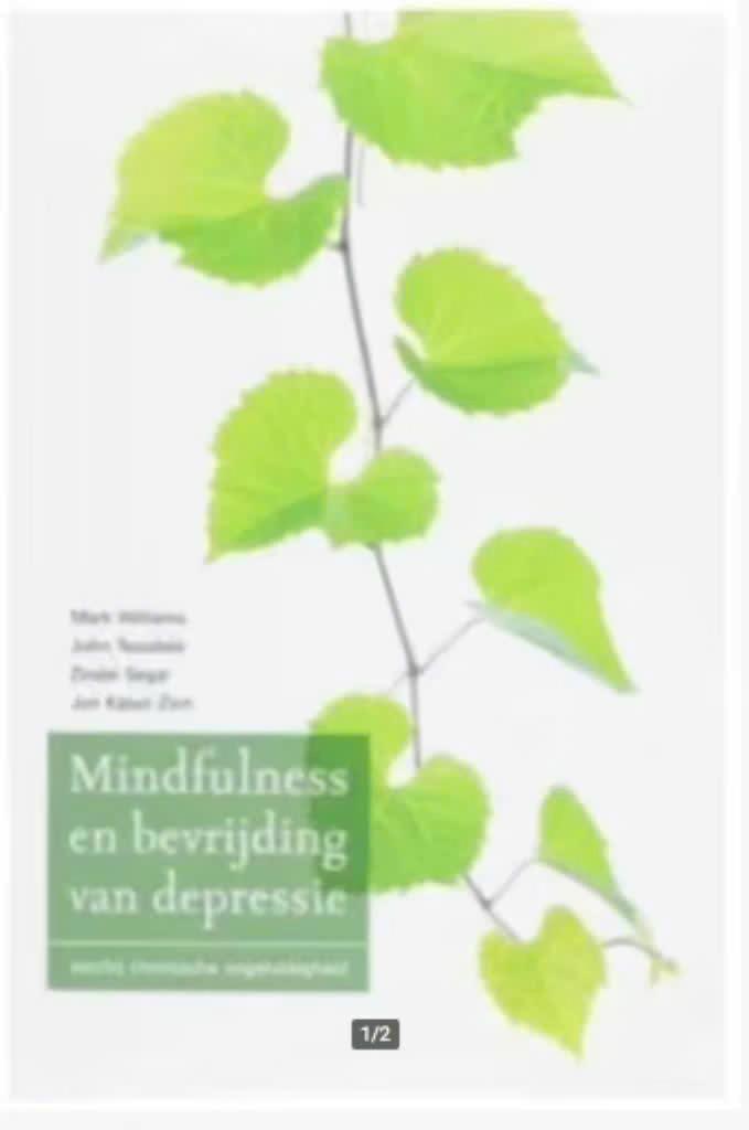 Mindfulness en bevrijding van depressie (Mark Williams), Ophalen of Verzenden, Zo goed als nieuw, Overige onderwerpen, Achtergrond en Informatie