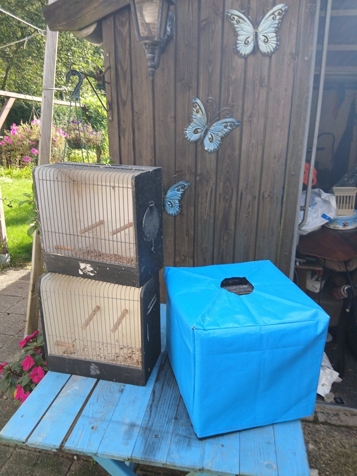 tt kooien  met hoes, Ophalen, Hout, Vogelkooi