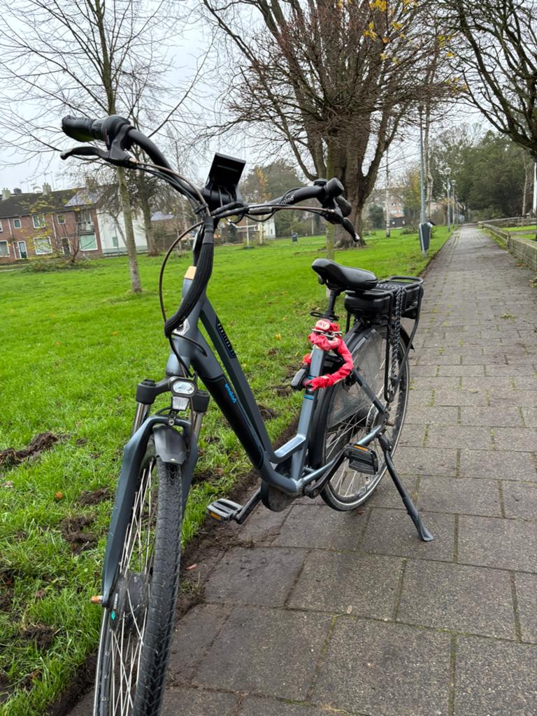 Amslod Hamilton M X elektrische fiets, 51 tot 55 cm, Ophalen of Verzenden, Gebruikt, Overige merken