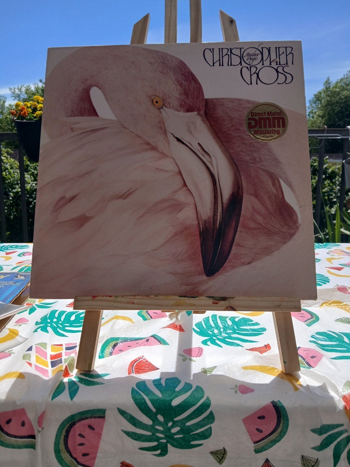 Christopher Cross - Another Page (Vinyl LP), Ophalen of Verzenden, Gebruikt, 12 inch