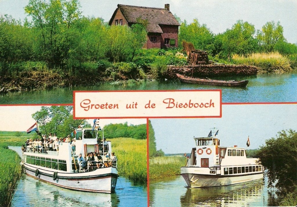 Biesbosch    1042a, Ophalen of Verzenden, Voor 1920