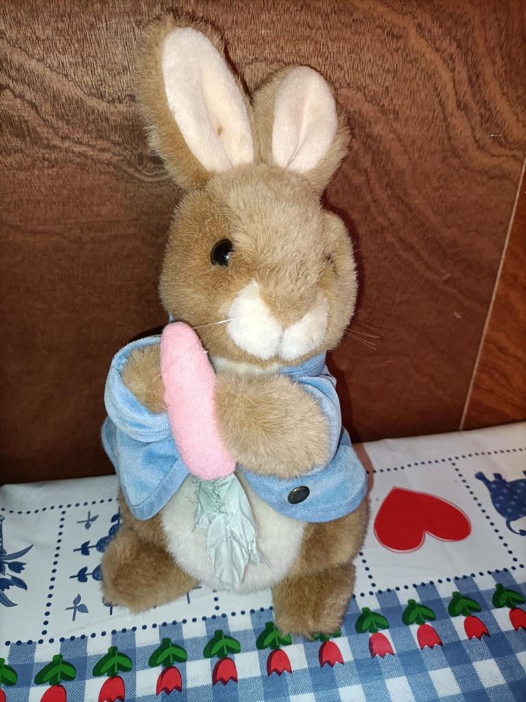 Frederick warne Konijn knuffel Eden 26 cm groot, Ophalen of Verzenden, Zo goed als nieuw, Konijn