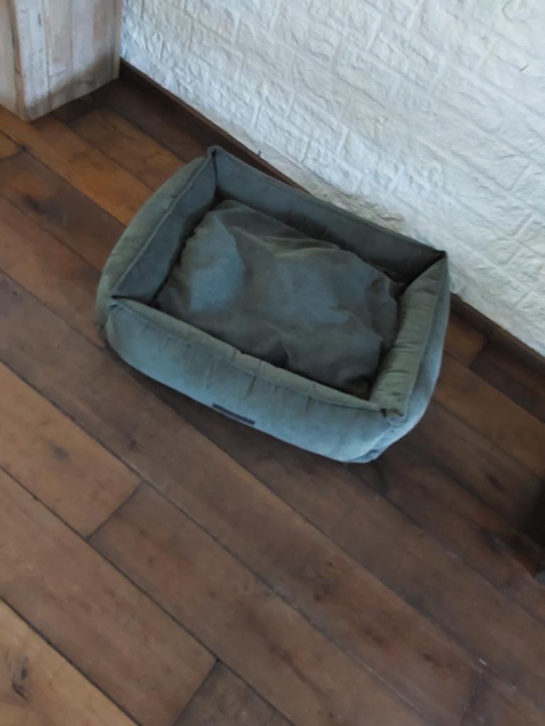 Honden mand, Dieren en Toebehoren, Ophalen, Zo goed als nieuw