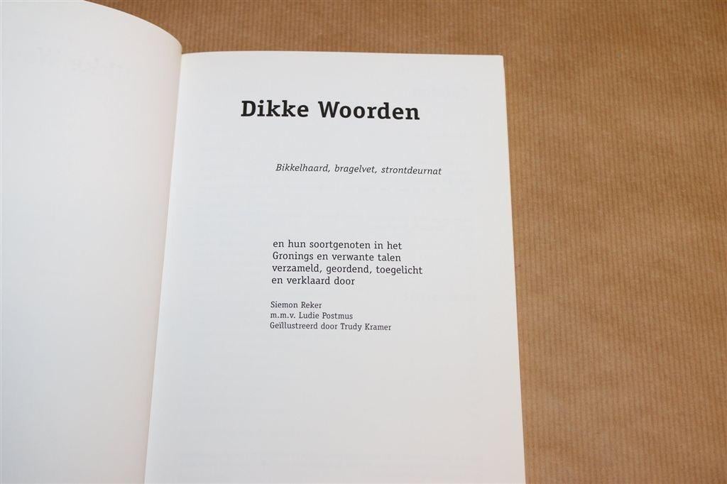 Dikke Woorden — Groninger Taal & Uitdrukkingen [1996], Ophalen of Verzenden, Zo goed als nieuw