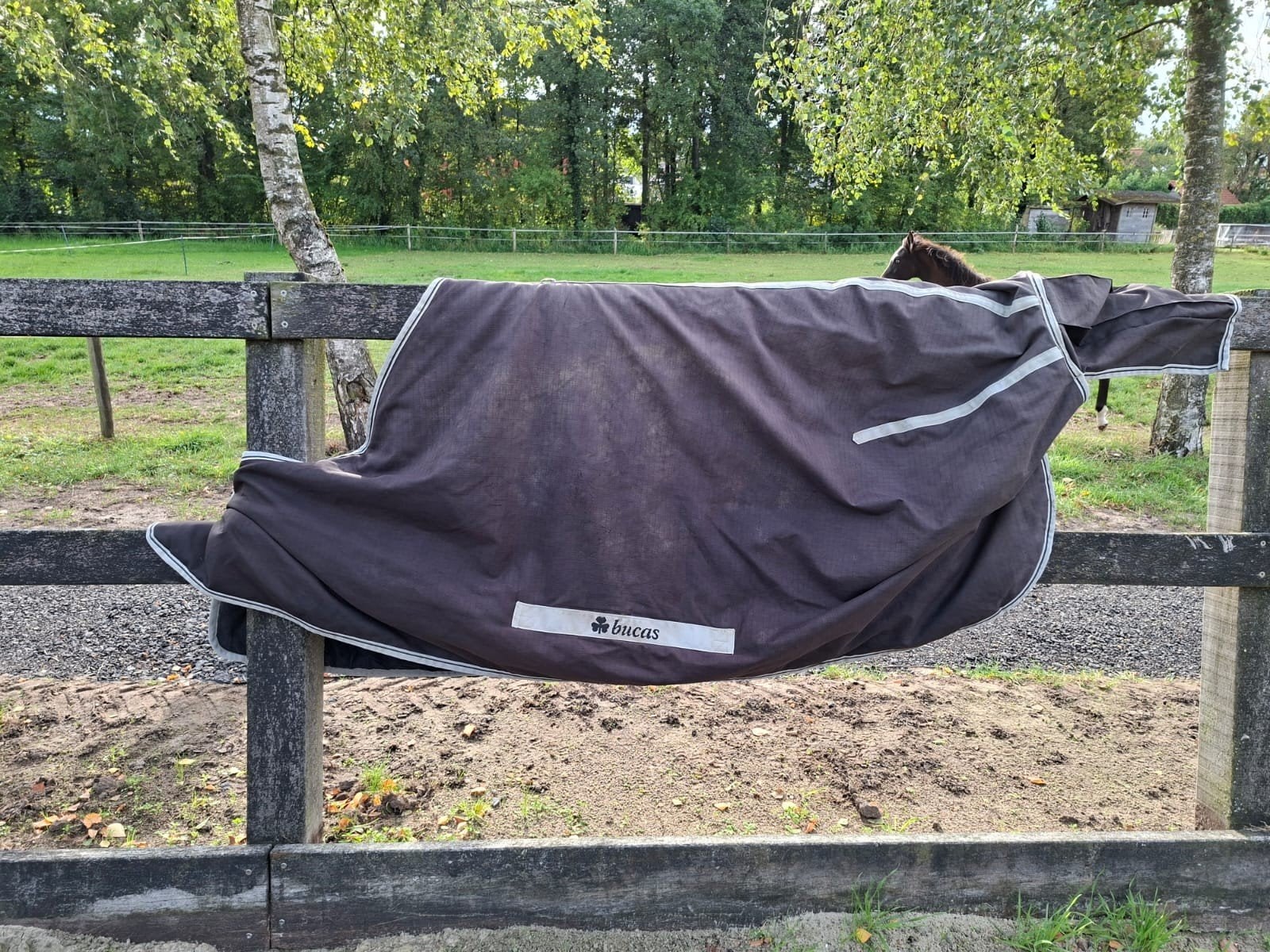 Bucas irish western  turnout 6.6 in het zwart, Bucas, Gebruikt, 300 g, Ophalen of Verzenden