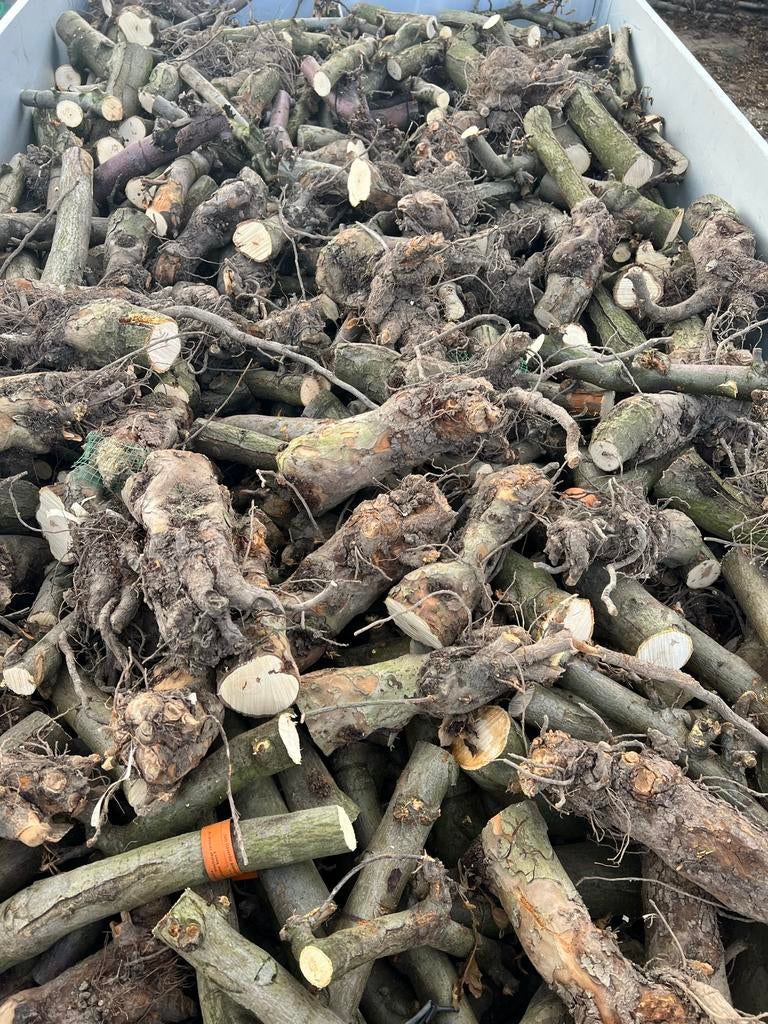 Openhaardhout van fruitbomen, Tuin en Terras, Haardhout, 3 tot 6 m³, Ophalen of Verzenden