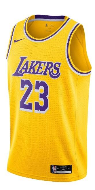 Nike LeBron James Icon Swingman Jersey, Ophalen of Verzenden, Nieuw, Kleding