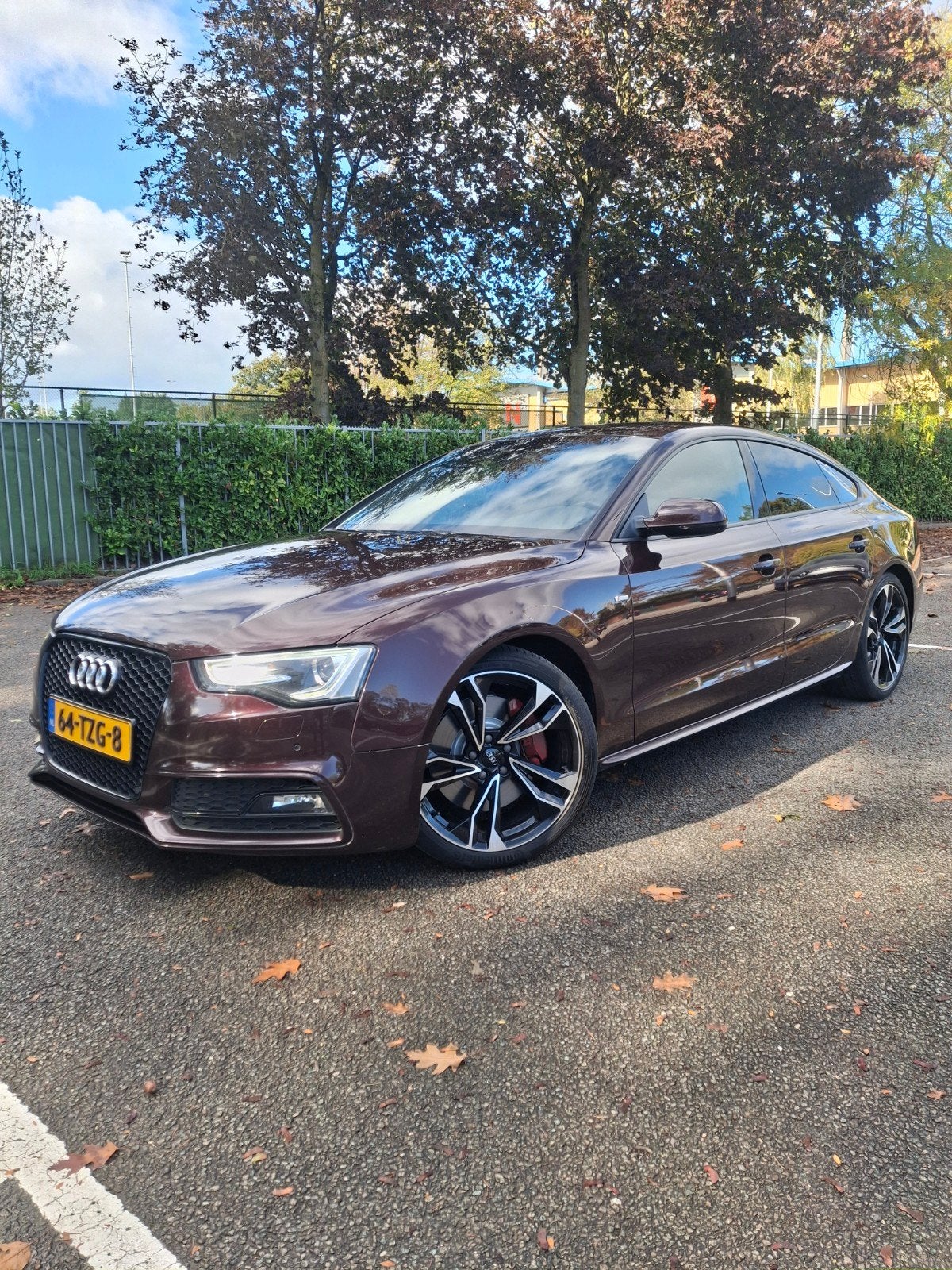 Audi A5 Sportback | 3x S-line | Zeer mooie auto, Auto's, Automaat, 430 pk, Zwart, 2995 cc