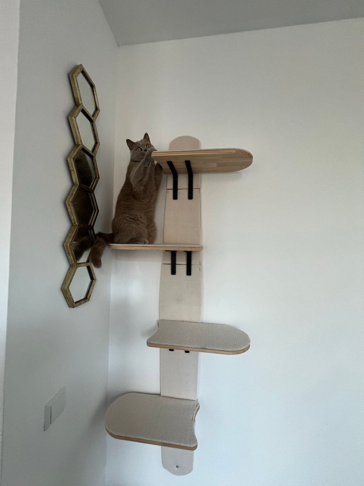 Katten klimmuur klimwand, Ophalen of Verzenden, Zo goed als nieuw