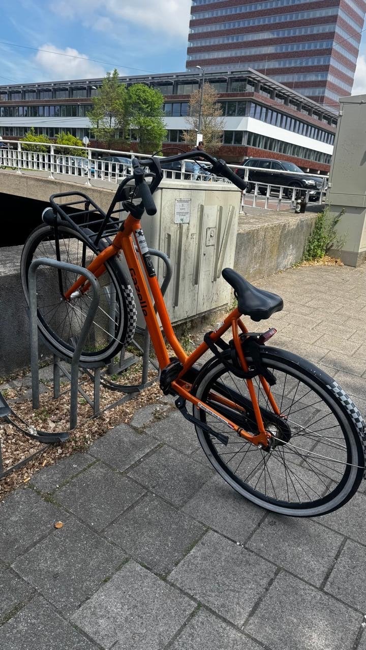 Gazelle F1 Limited Edition - Zo goed als nieuw, 47 tot 50 cm, Versnellingen, Ophalen of Verzenden, Zo goed als nieuw