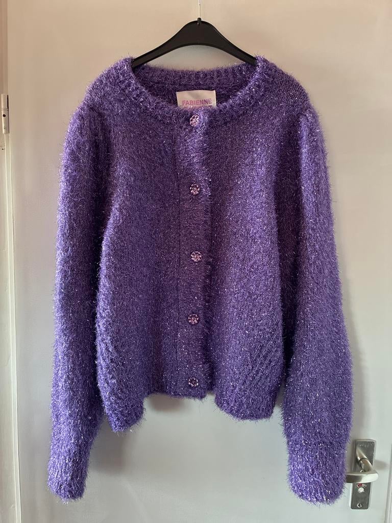 Fabienne Chapot paars pluizig vest met glitter XL, Kleding | Dames, Ophalen of Verzenden, Zo goed als nieuw, Maat 46/48 (XL) of groter