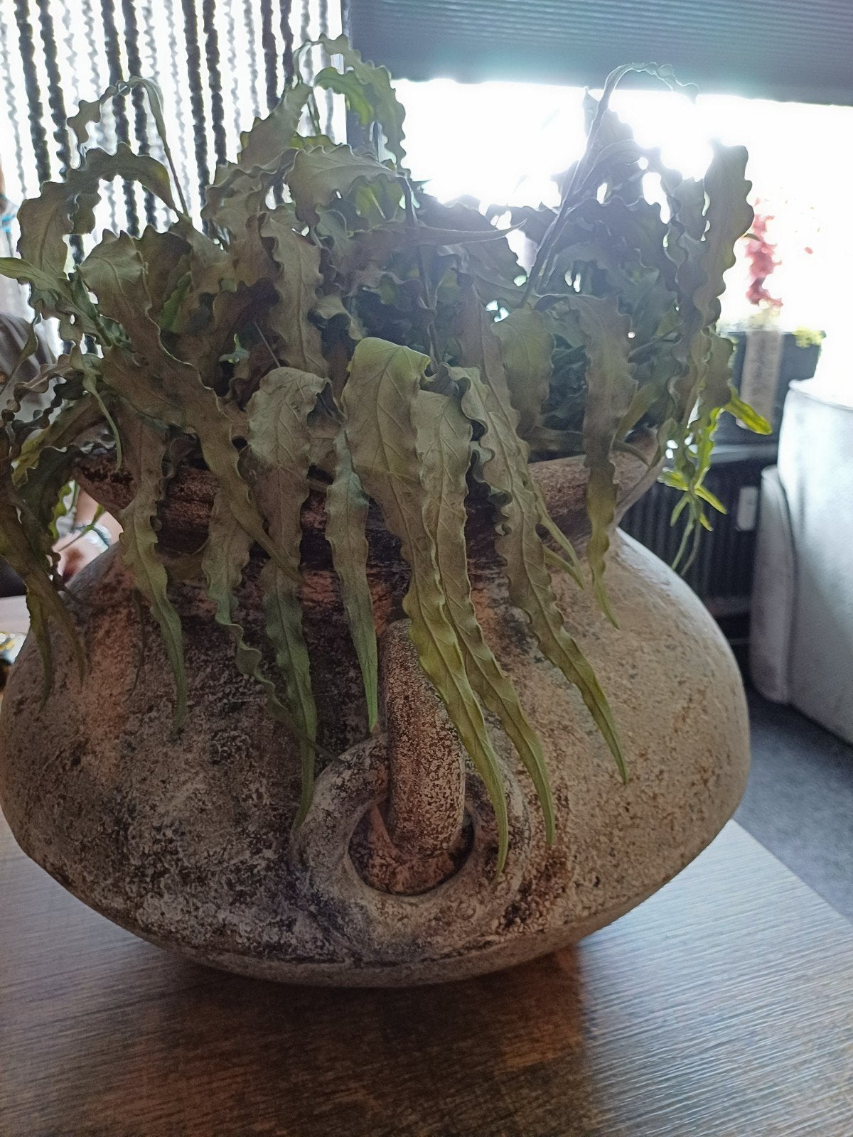 Set van 2 stenen kruiken met kunstgroen, Gebruikt, Inclusief decoratie, Ophalen of Verzenden, Grijs