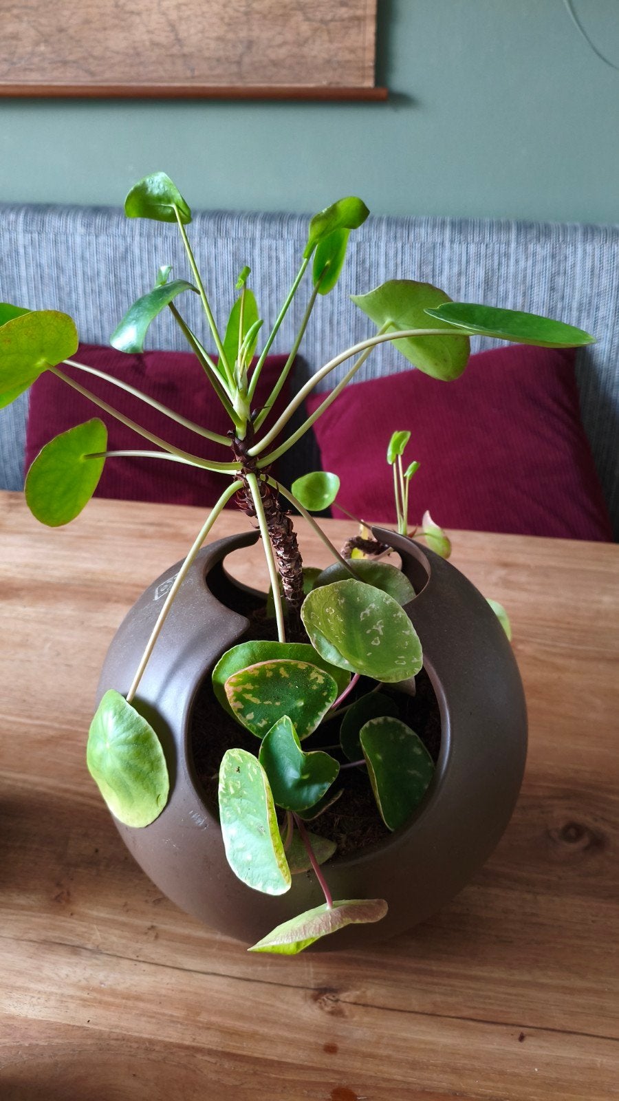grote Rasteli bloempot keramiek Belgisch design, Huis en Inrichting, Woonaccessoires | Vazen, Ophalen, 23 cm, Gebruikt, Bruin