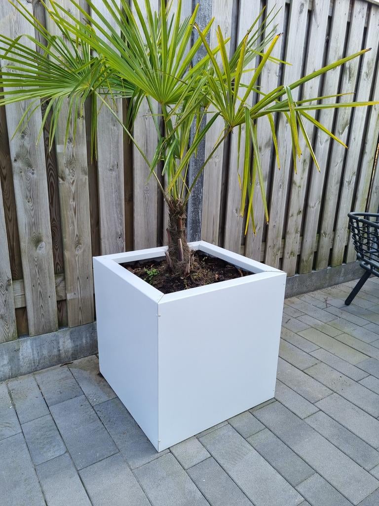 Stalen Plantenbakken RAL 9010 Wit 60x60x60, Vierkant, Nieuw, Ophalen of Verzenden, Balkon
