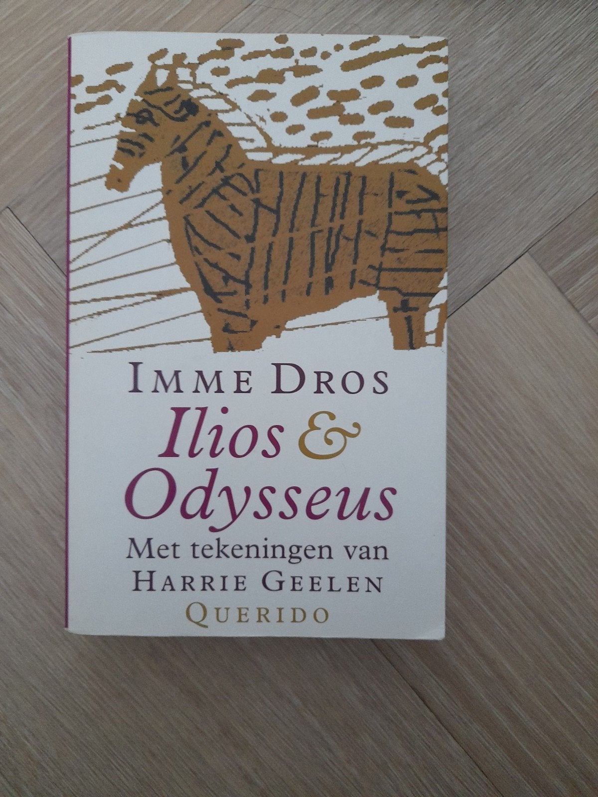 Imme Dros - Ilios & Odysseus (geïllustreerd), Boeken, Ophalen of Verzenden, Gelezen, Imme Dros, Nederland