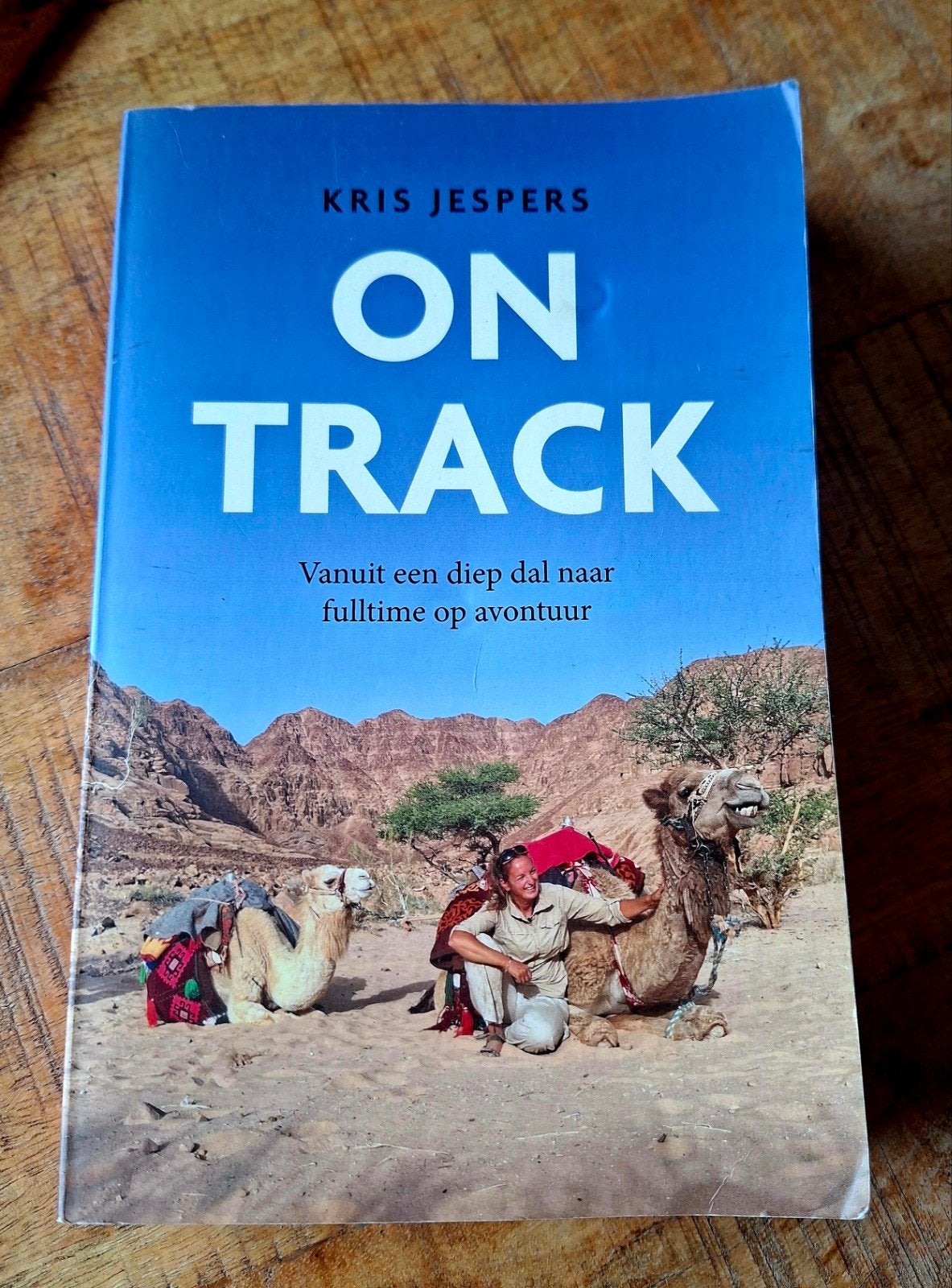 Kris Jespers - On Track, Ophalen of Verzenden, Gelezen, Kris Jespers