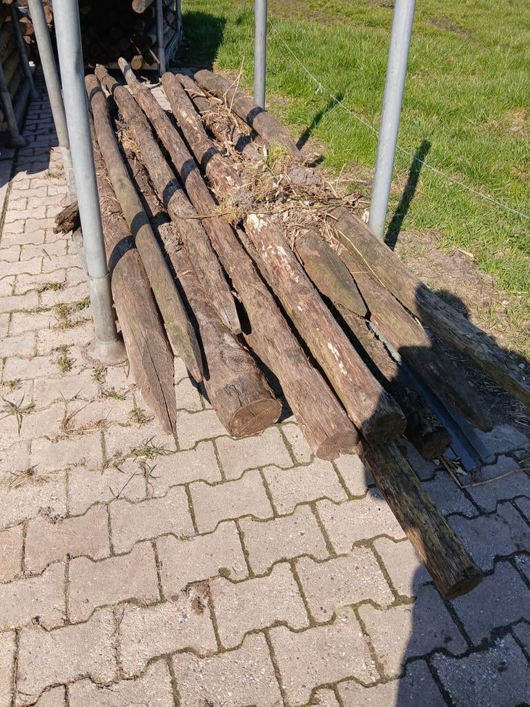 Brand hout kachel hout, 3 tot 6 m³, Ophalen
